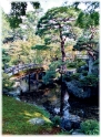 Garden 8, Kyoto Japan